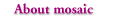 ���U�C�N�ɂ���